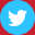 Twitter Logo