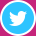 Twitter Logo