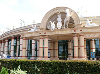 Shopping at the Trafford Centre